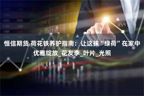 恒信期货 荷花铁养护指南：让这抹“绿荷”在家中优雅绽放_花友李_叶片_光照