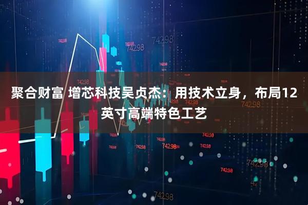 聚合财富 增芯科技吴贞杰：用技术立身，布局12英寸高端特色工艺