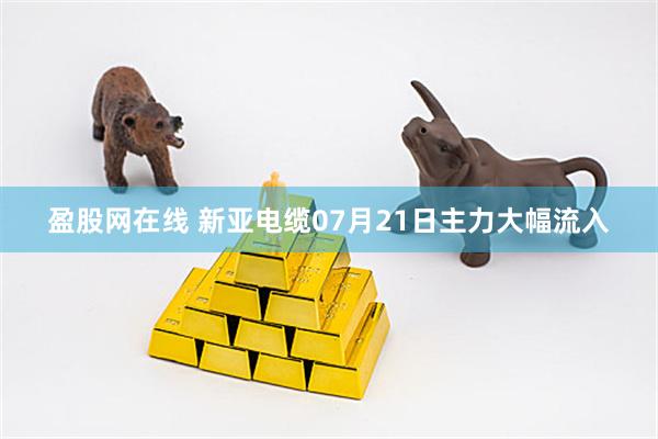 盈股网在线 新亚电缆07月21日主力大幅流入