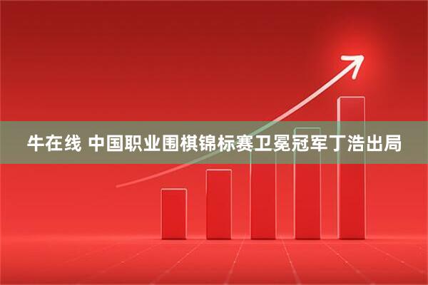 牛在线 中国职业围棋锦标赛卫冕冠军丁浩出局